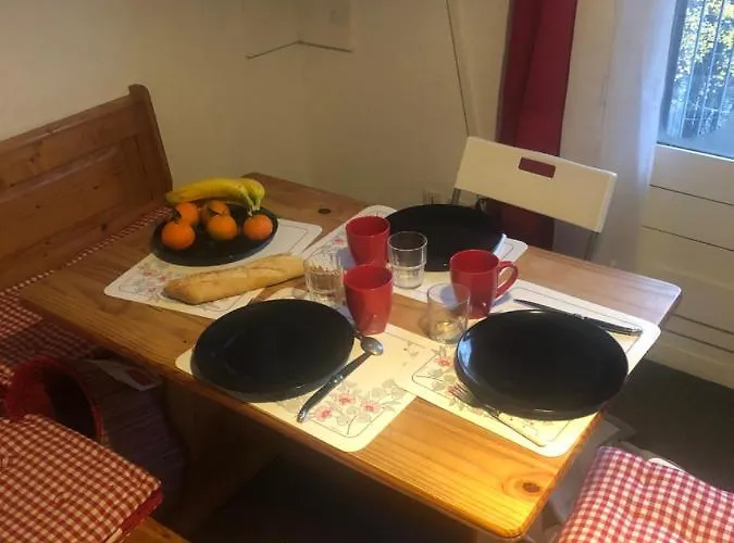 Joli Montagne Au Pied Des Pistes Apartment